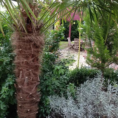 ゲストハウス Les Jardins Carnot
